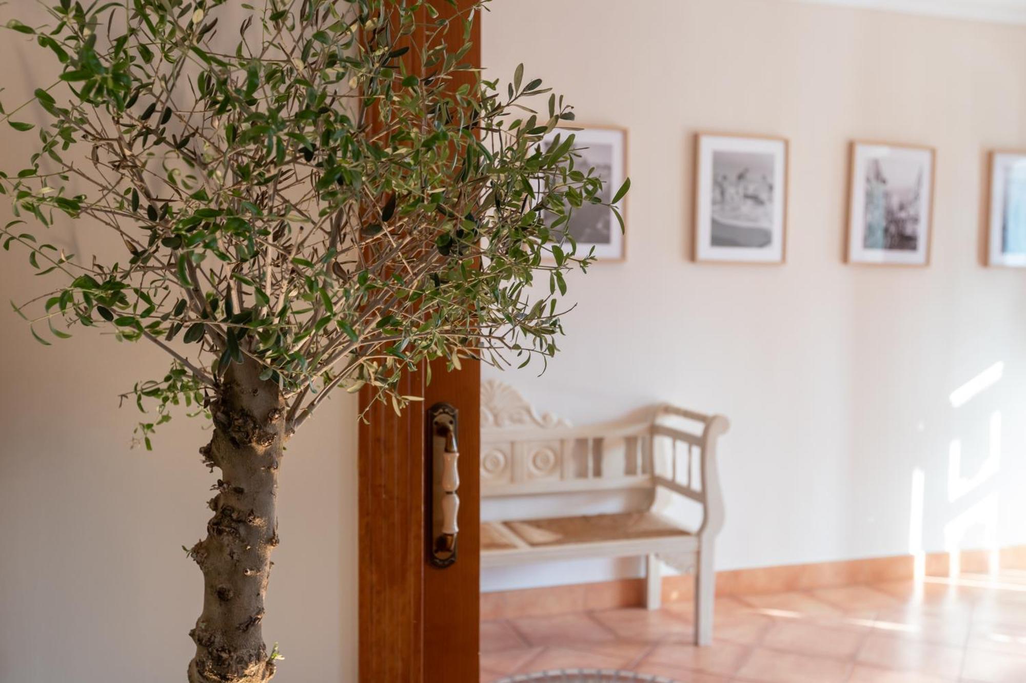 Villa La Casita Del Mar à Torremolinos Extérieur photo